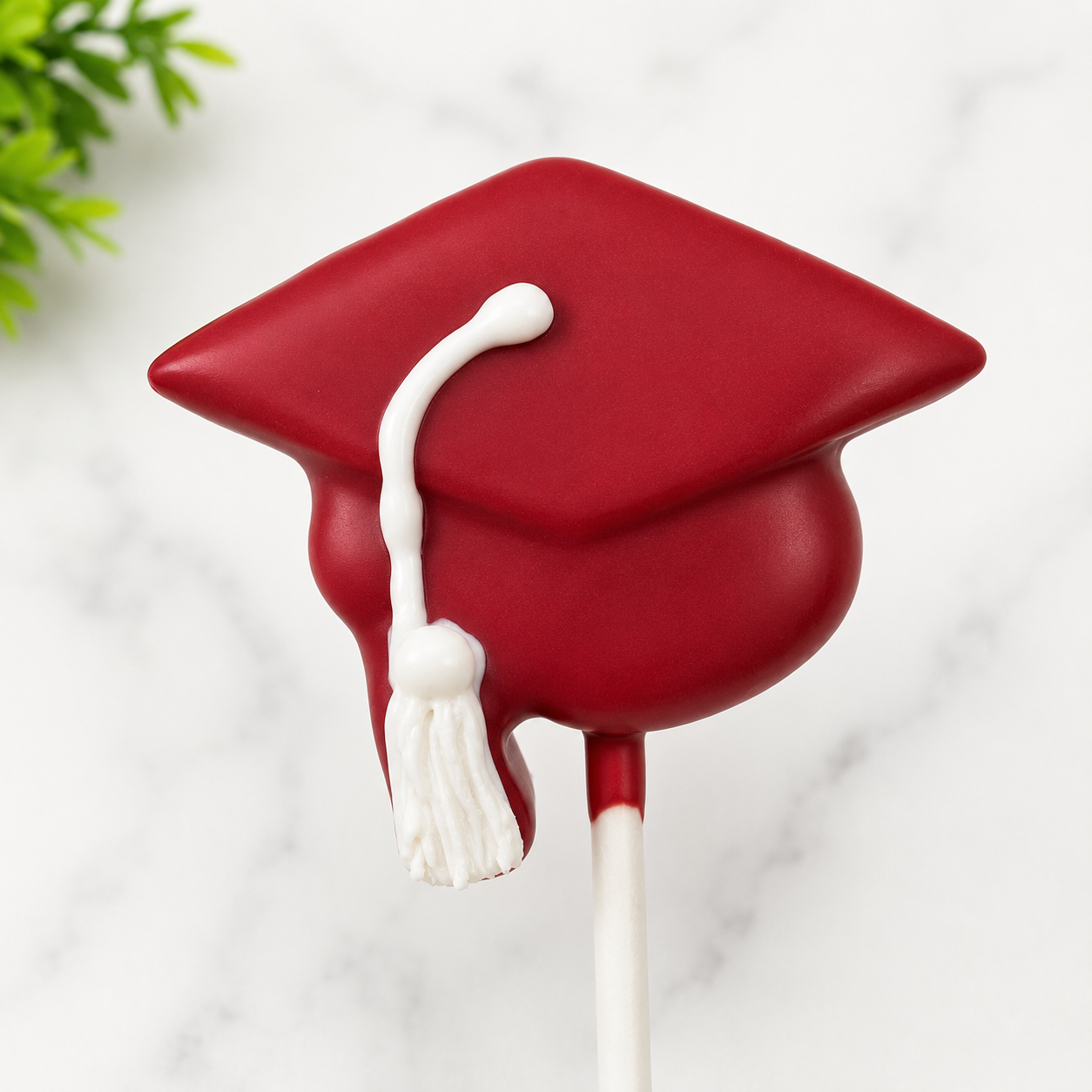 Graduation Cap Cake Pop Cutter